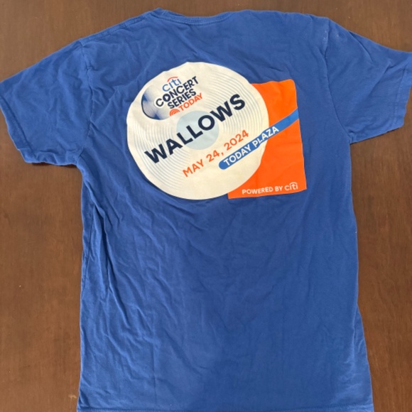 Wallows Today Show Concert Tee - Picture 1 of 3
